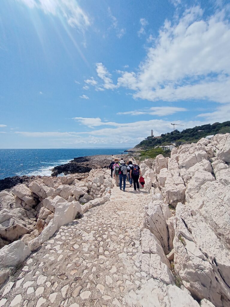 IMG_20240425_141731512