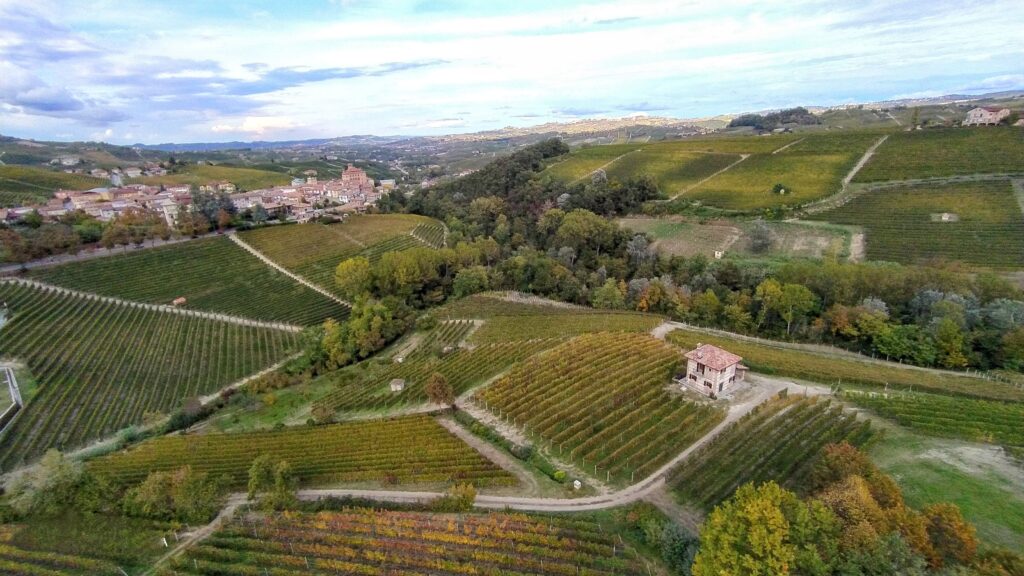 IMG_20201011_170433~2