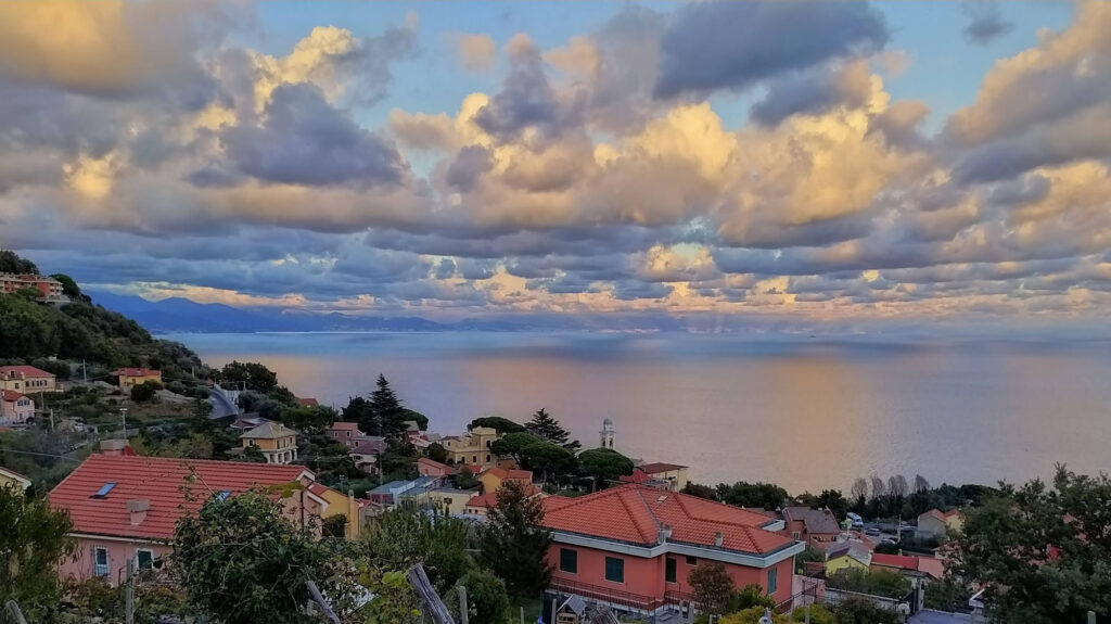 IMG_20201017_181503~2