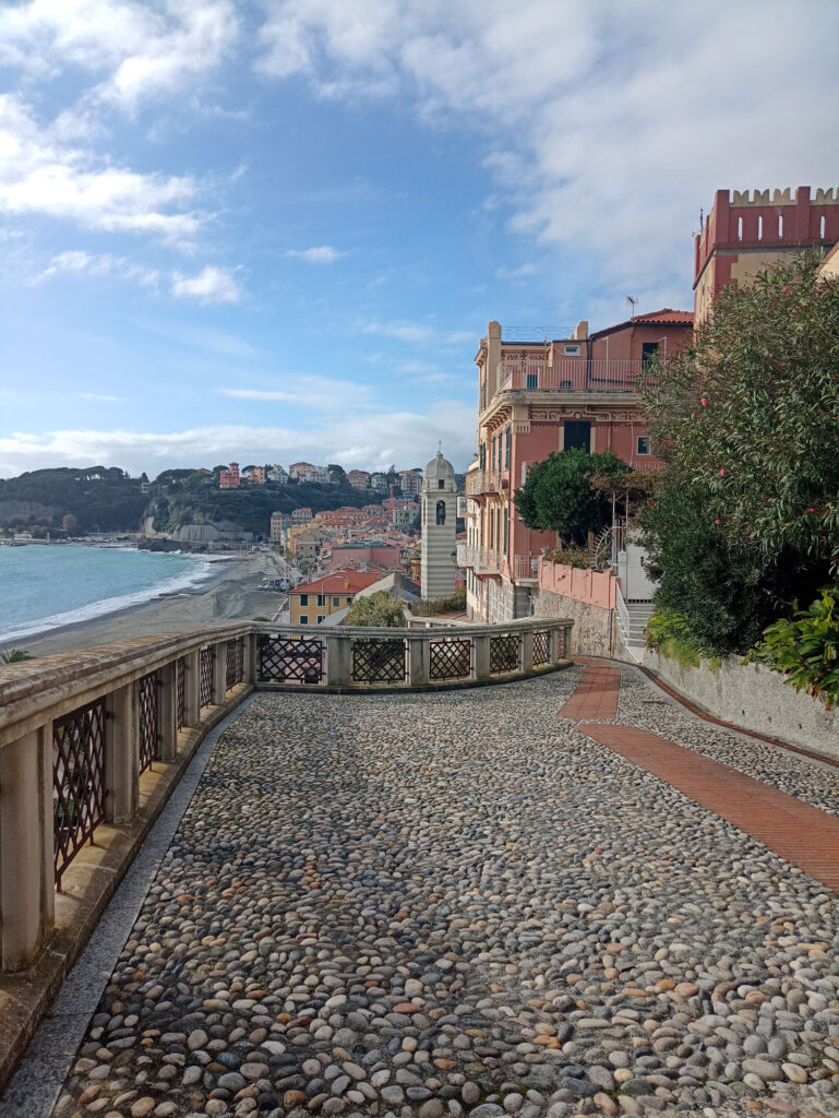 IMG_20231114_121128484