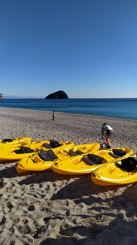 vert canoe in spiaggia