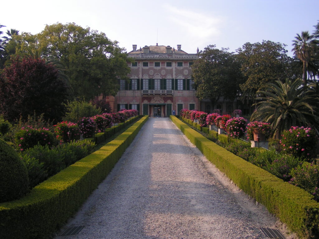 MINOLTA DIGITAL CAMERA