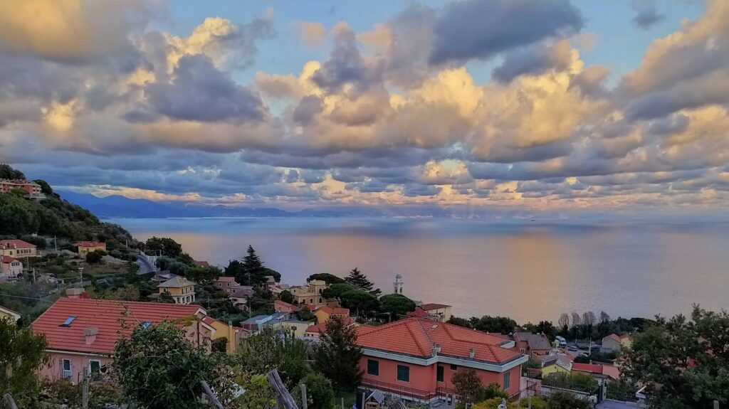 IMG_20201017_181503~2