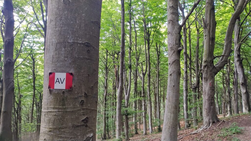 IMG_20210626_162828~2