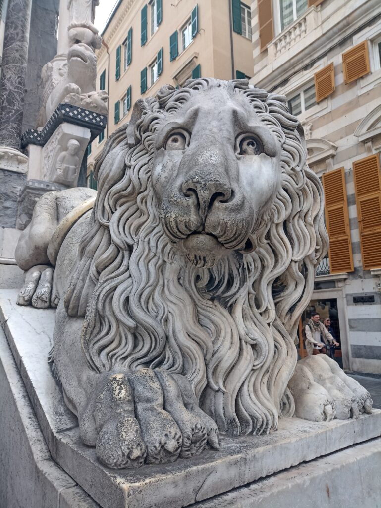 IMG_20240517_132514232