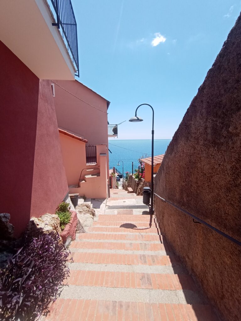 IMG_20240525_121240723