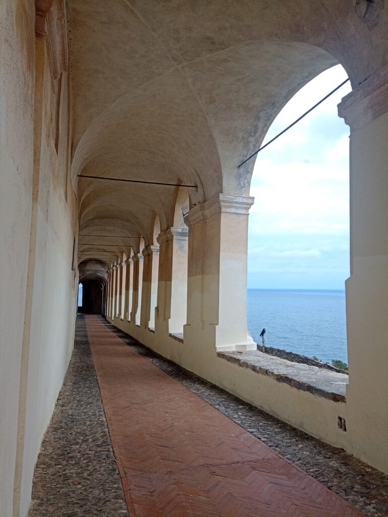 IMG_20240612_150822445