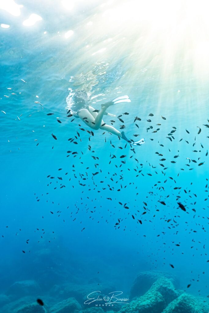 vert snorkeling e pesci