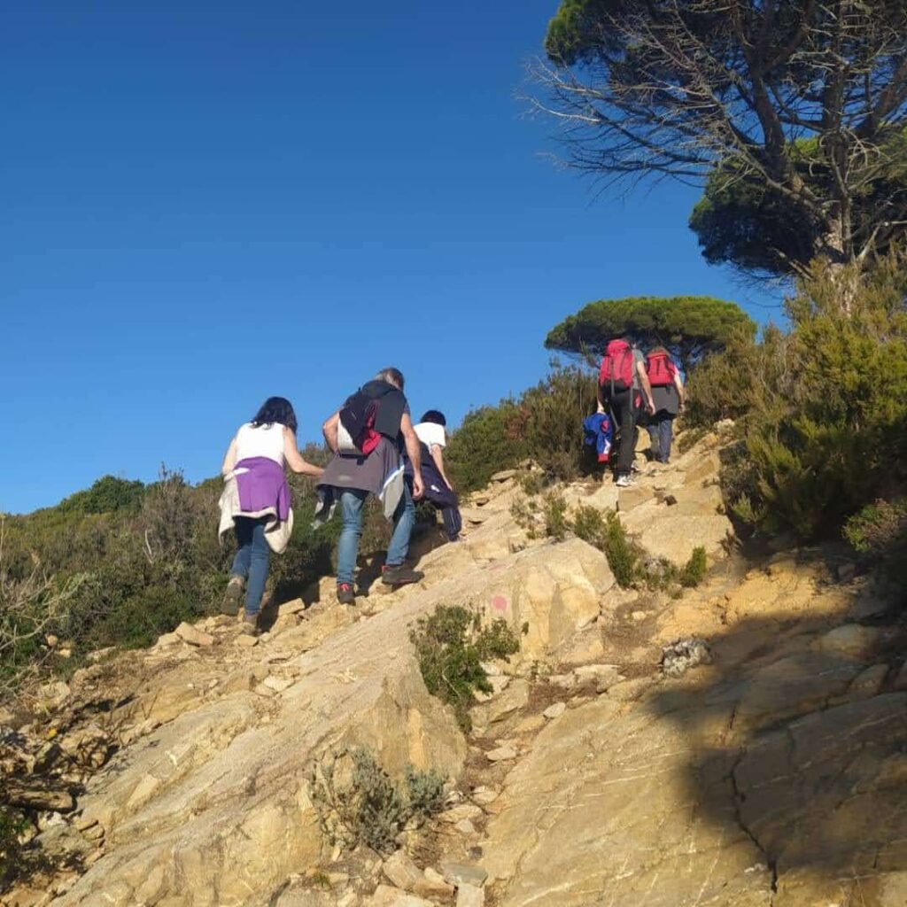 IMG_20211217_174501_643