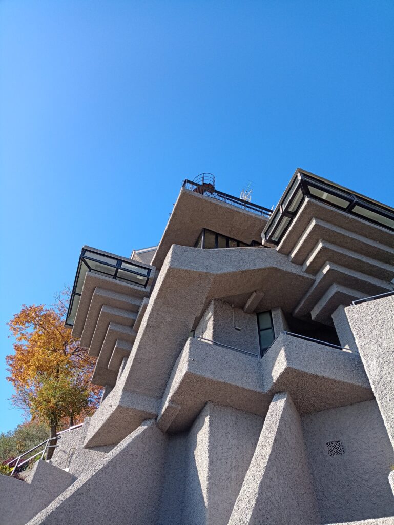 IMG_20221227_123355157