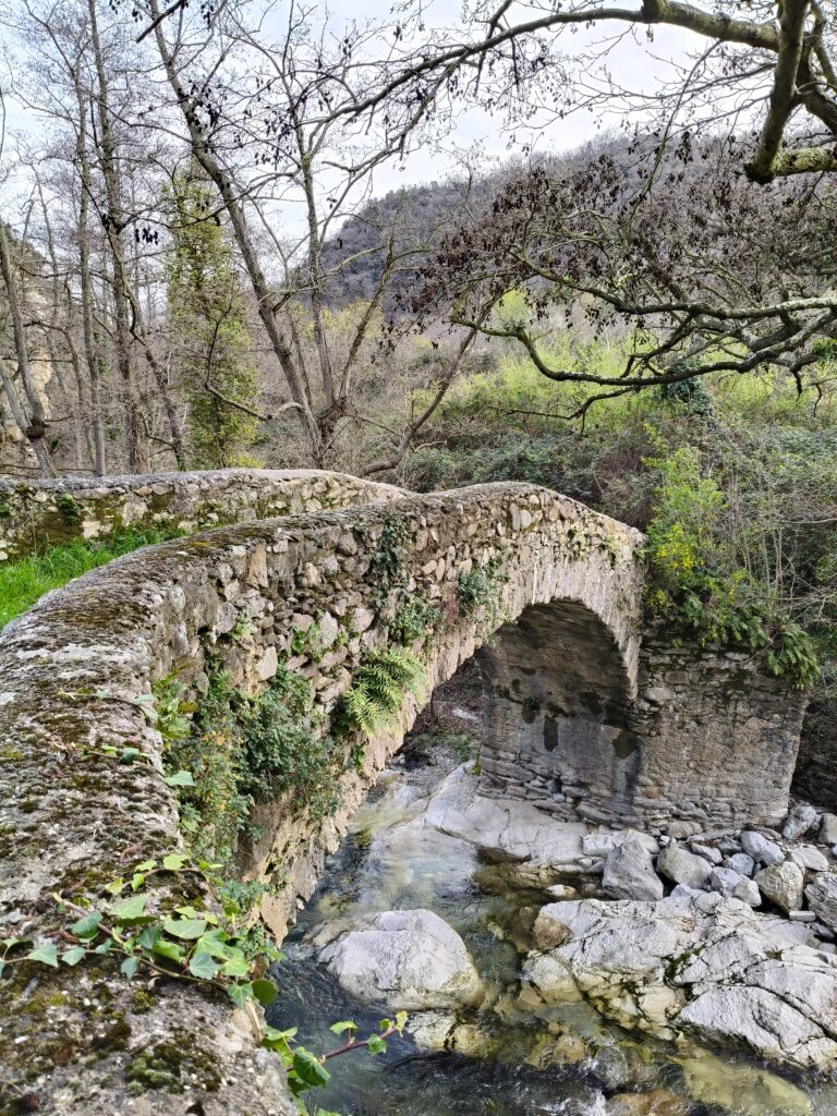 IMG20250320172055 (1)