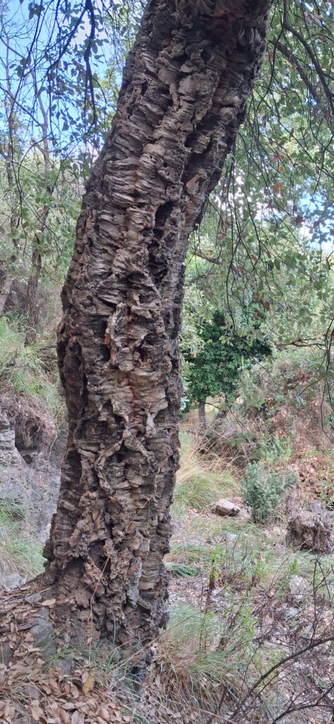 Notes_260114_205108_9ed